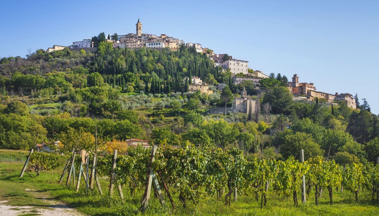 Umbria, cradle of wine tourism: experiences to live