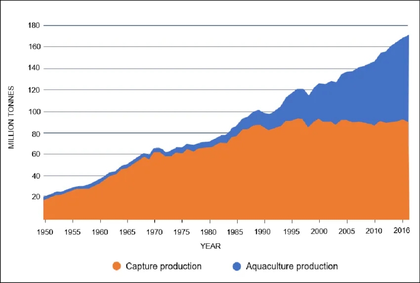 Aquaculture production rising sharply around the world, fishing production stagnating