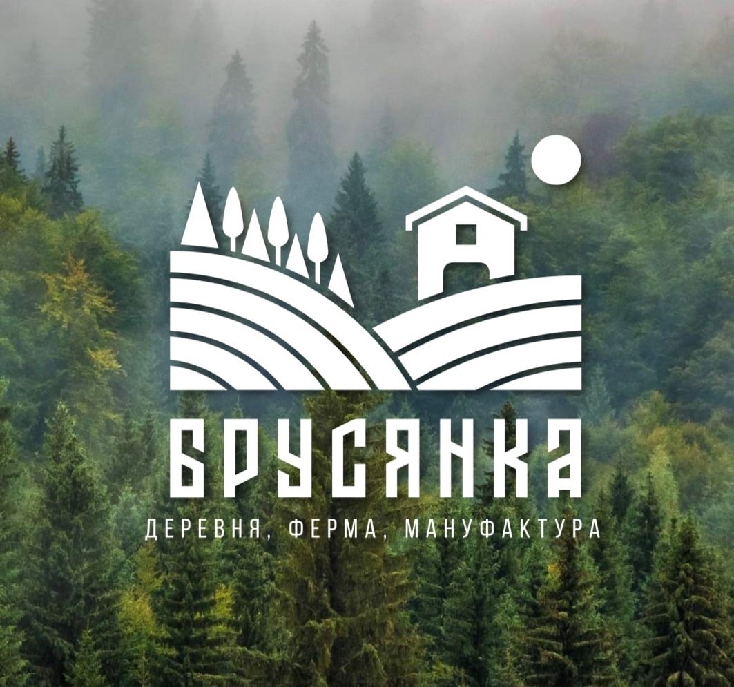 Unity on the Internet: Brusyanka residents have created a VK community in their village